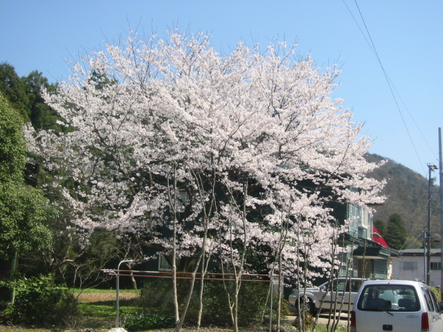 d0094868_22241286.jpg
