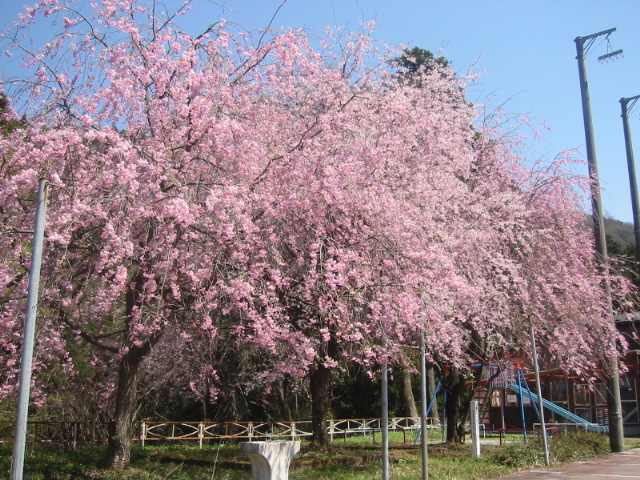 d0094868_22244260.jpg