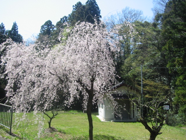 d0094868_22254087.jpg