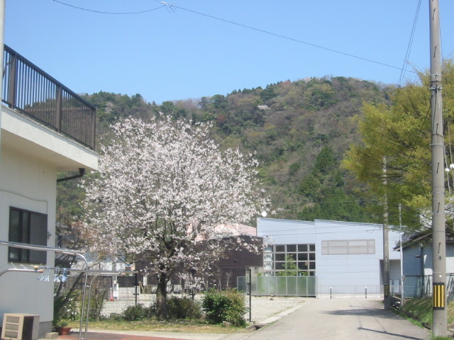 d0094868_22271141.jpg
