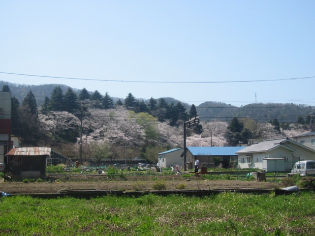 d0094868_22282521.jpg