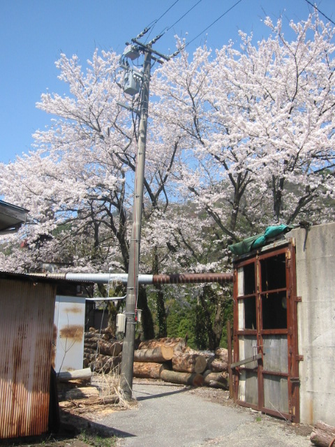 d0094868_2228781.jpg