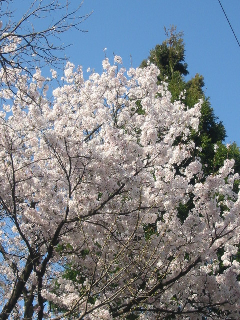 d0094868_2229978.jpg