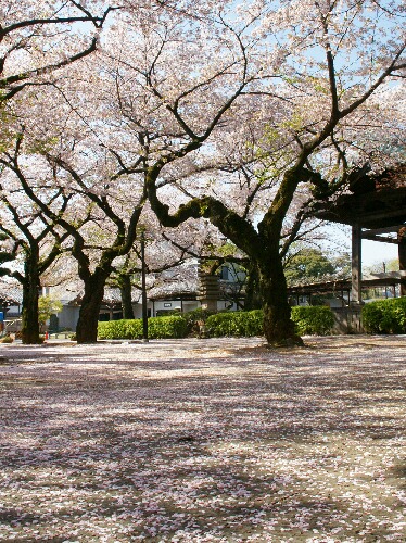 e0156083_9353012.jpg