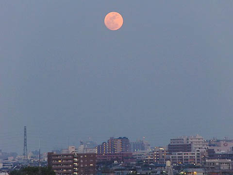 しばらくぶりの風景、浮間公園_f0030085_16365388.jpg