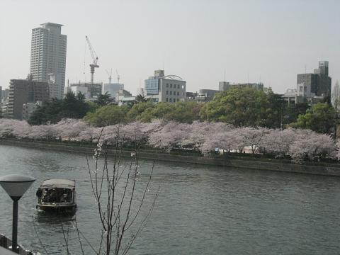 桜もおしまい_f0118594_11121879.jpg