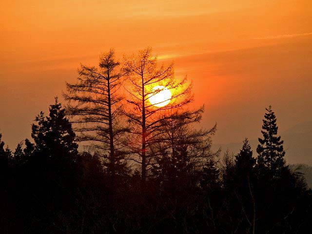 c0008502_12115175.jpg
