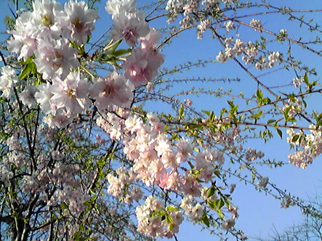 f0079202_17531967.jpg