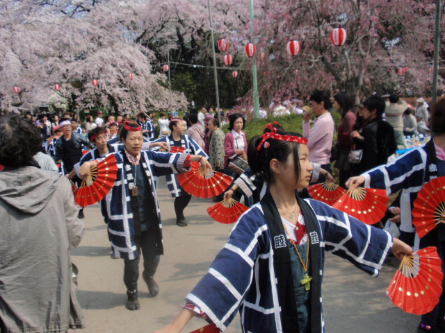 榴ヶ岡公園・桜リポートVOL.5　４/11_e0169804_13301650.jpg