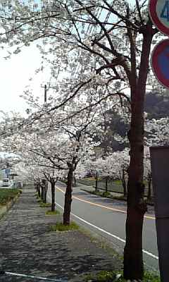 a0013905_110519.jpg