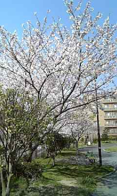 a0013905_1113588.jpg