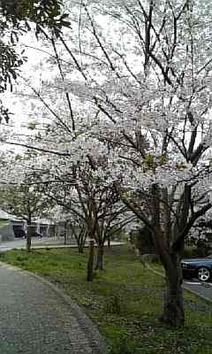 a0013905_1115015.jpg