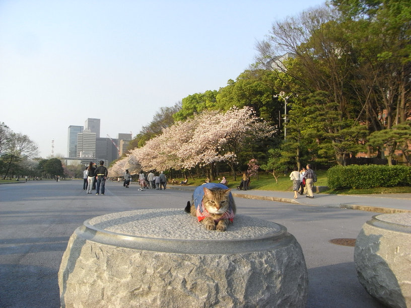 e0031605_1959092.jpg