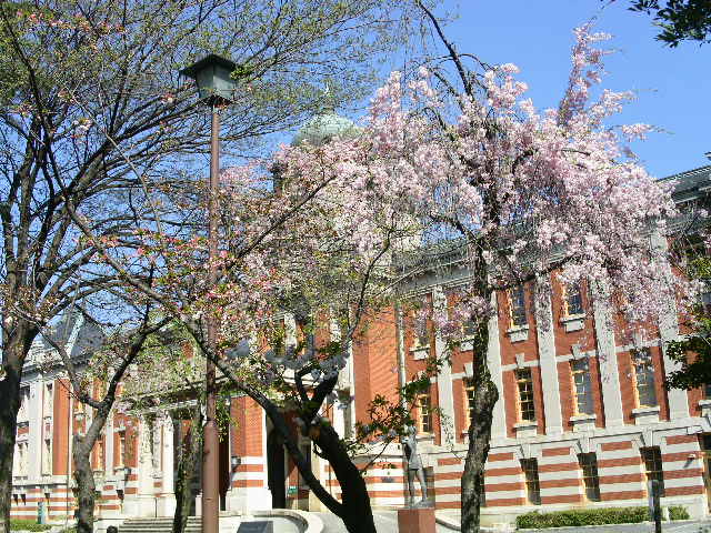 c0152507_10315260.jpg