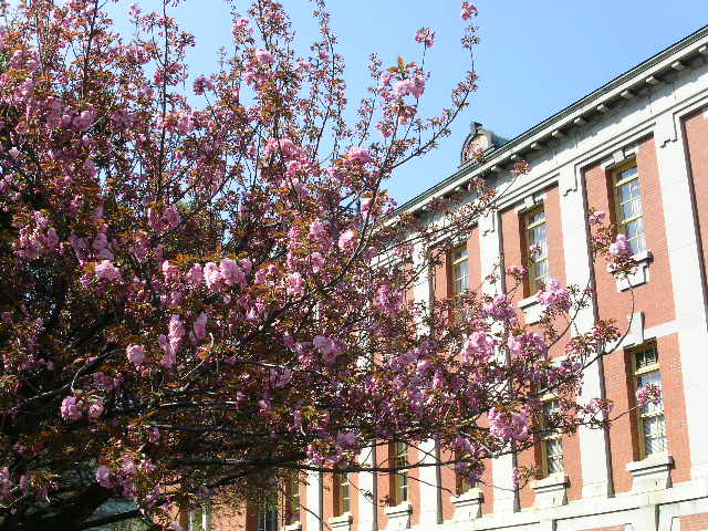 c0152507_10322631.jpg