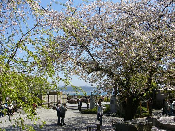 鎌倉 花散歩 ～極楽寺から長谷あたり～_b0112909_14134636.jpg