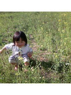 お花見？(宴会か…)_f0009509_20474738.jpg