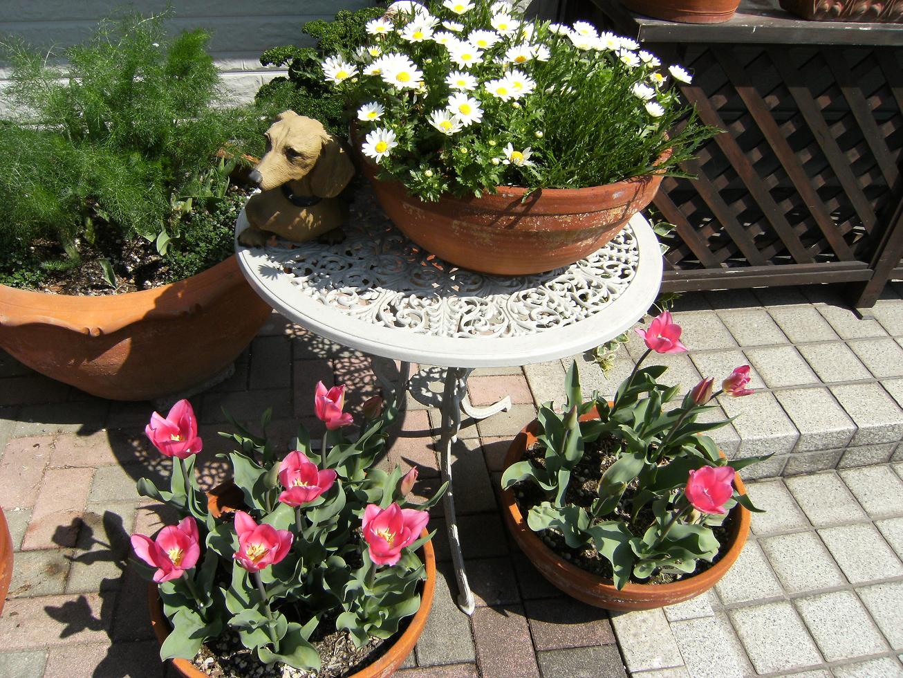 f0179209_11141195.jpg