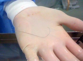 a0055913_7583928.gif