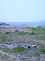 c0161114_1014996.jpg