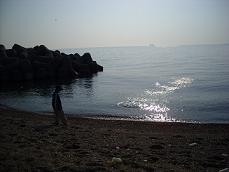 c0161114_1024843.jpg