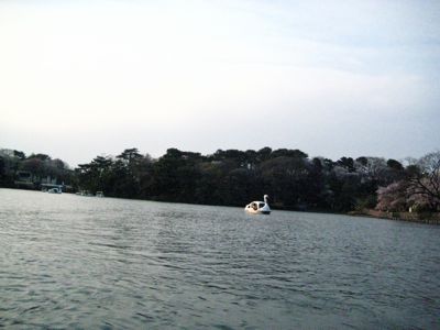 c0017220_218779.jpg