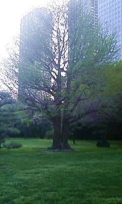 b0166523_22575337.jpg