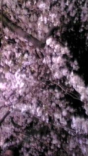 c0143523_1881412.jpg