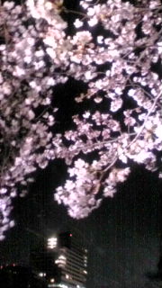 c0143523_1885877.jpg