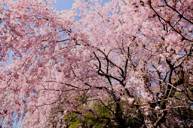 b0132924_0484573.jpg