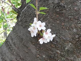 c0193425_22384470.jpg