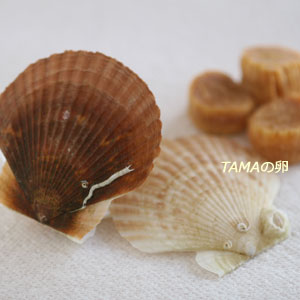 c0024729_1134553.jpg