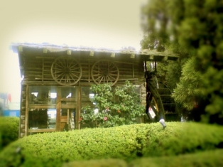 f0124733_2125081.jpg
