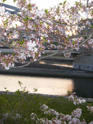 c0069036_19255834.jpg
