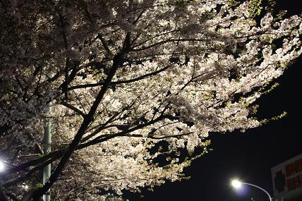 c0179736_21495740.jpg