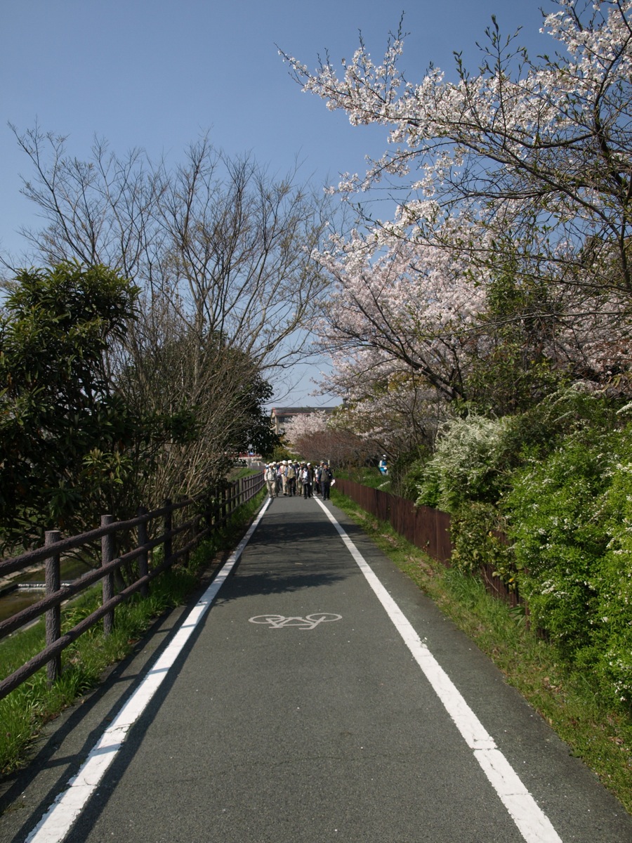 d0149238_2252515.jpg