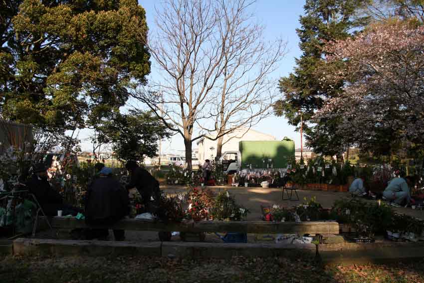 岩戸神社♪_d0058941_19435895.jpg
