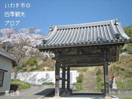 4月11日　その2　四倉地区　金光寺・恵日寺・薬王寺・柳生院・長隆寺・月田寺のサクラ_f0105342_16561281.jpg