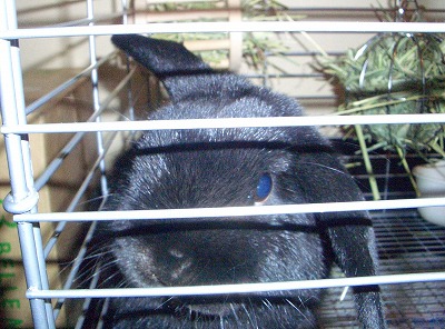 e0172144_2024560.jpg