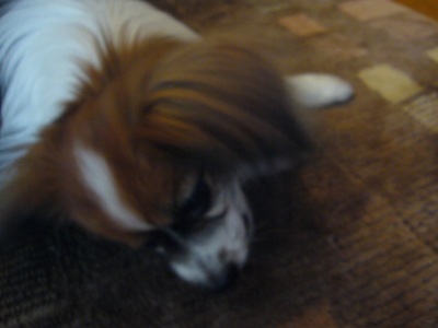 e0100046_182116100.jpg