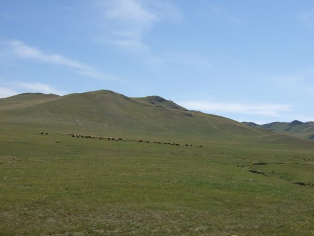 f0183347_0254070.jpg