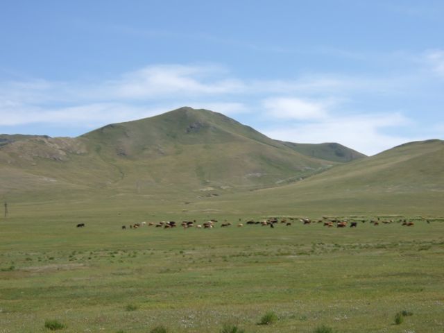 f0183347_0254232.jpg