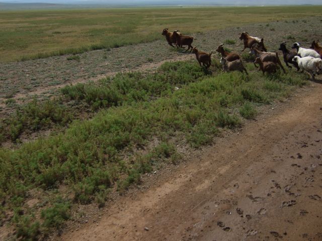 f0183347_0403343.jpg