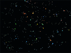 e0005548_21192346.gif