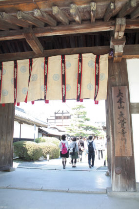 桜ウィーク～京都・大覚寺大沢池～_c0073649_17162085.jpg