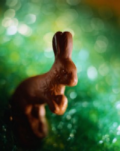 Happy Easter ♪_e0108851_19333100.jpg