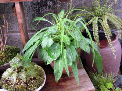 c0147952_20162825.jpg