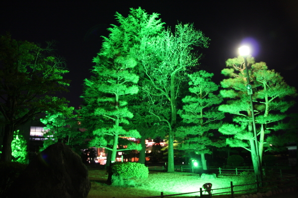 f0160554_86423.jpg