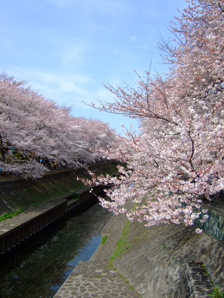 e0122156_12573.jpg