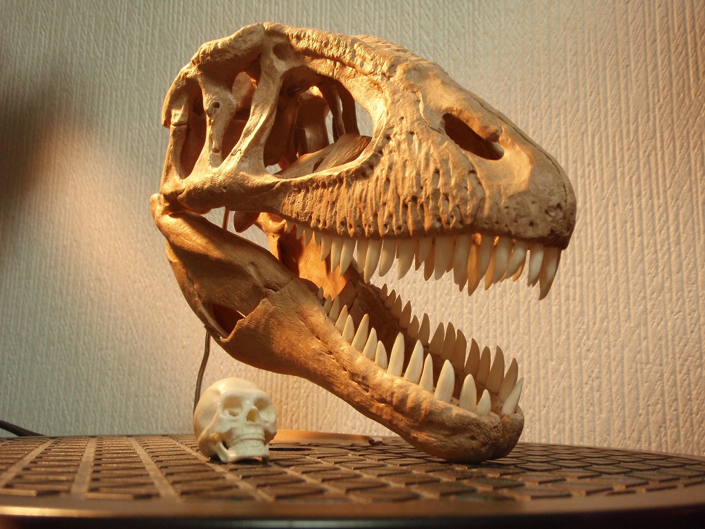 e0064457_22464430.jpg